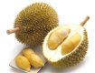 fresh-durian-fruit-500x500